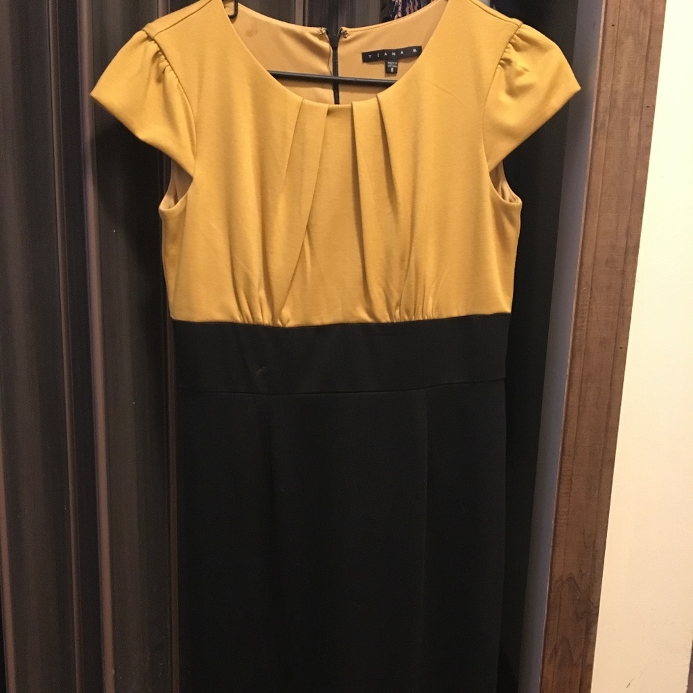 Gold and black sheath dress